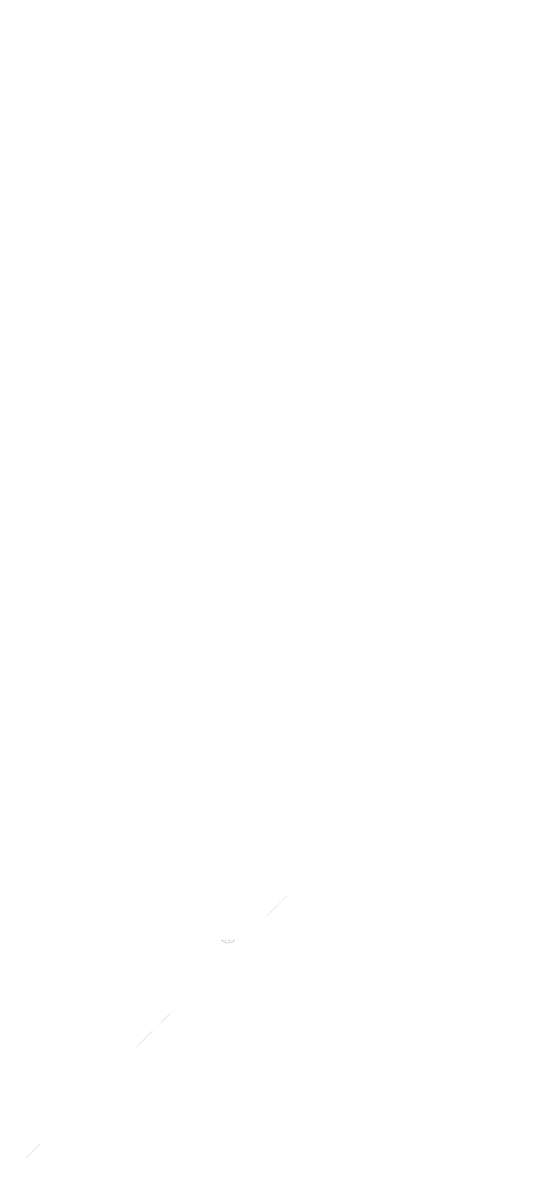 vectoe bg